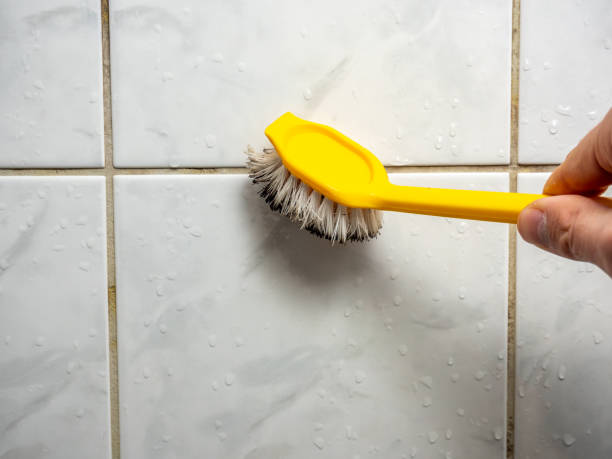Best Home Mold Removal  in Marianne, PA