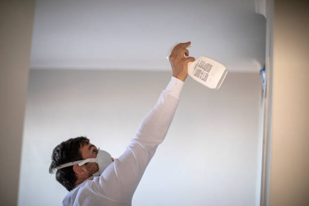 Professional Mold Removal in Marianne, PA