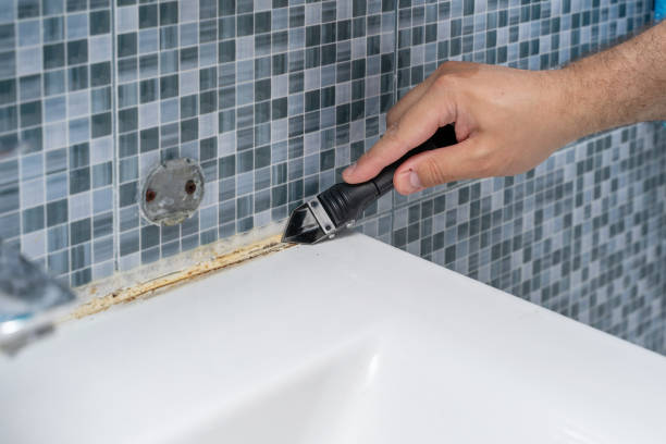 Best Professional Mold Removal  in Marianne, PA