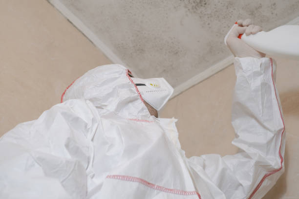 Mold Removal Process in Marianne, PA